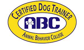 cdt-logo.jpg